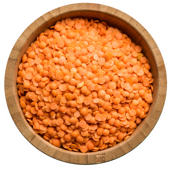 Masoor Dal